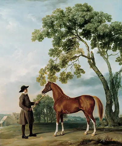 Lord Grosvenor's Arabian Stallion with a Groom George Stubbs